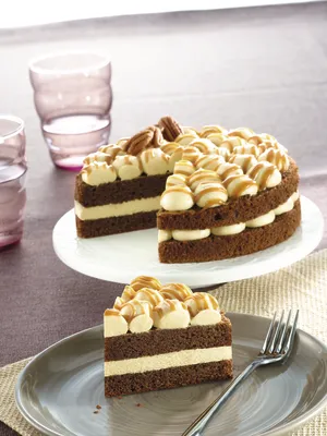 Tegral Ultra Chocolate Sponge Egg Free