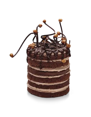 Tegral Sponge Egg Free Cocoa Plus